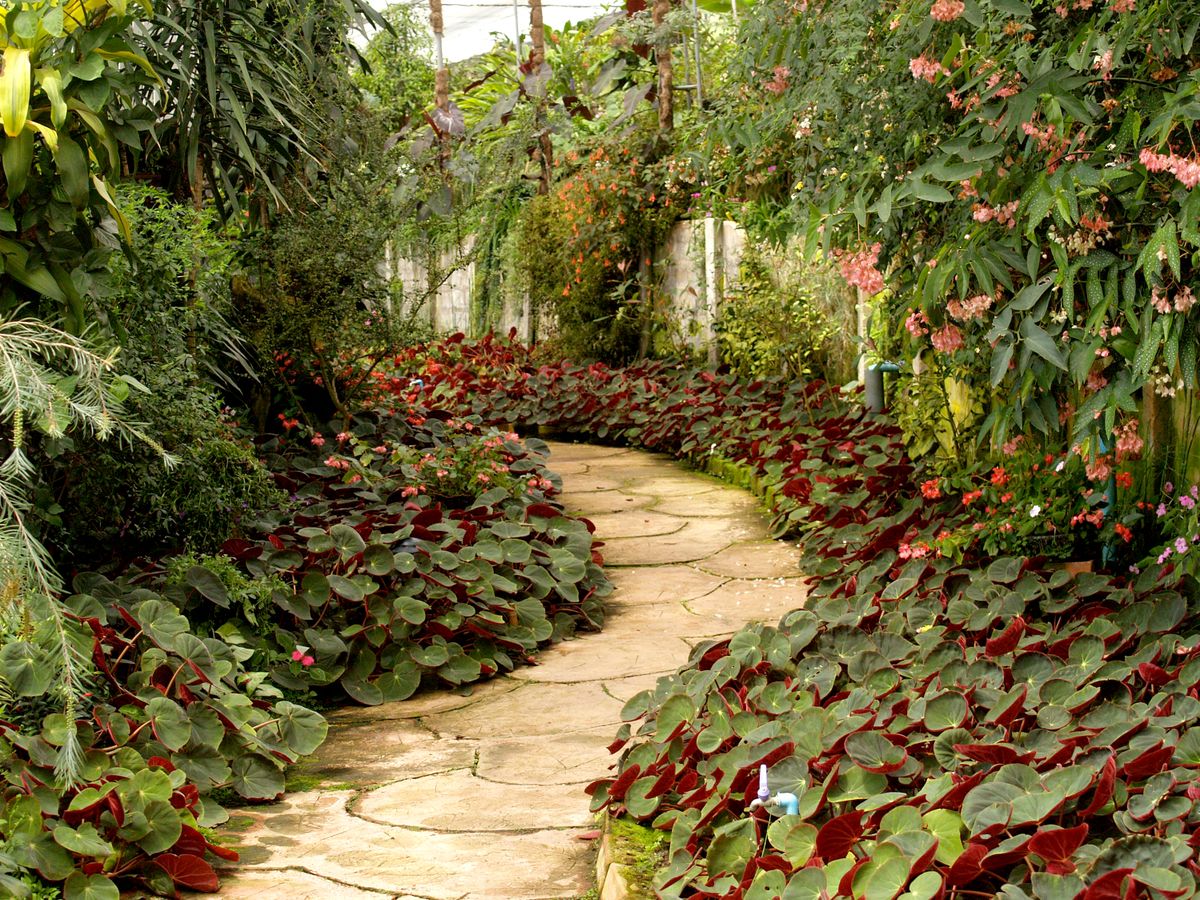 Landscaped garden beds and planting