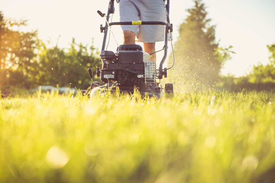 Freshly mowed lawn with clean stripes