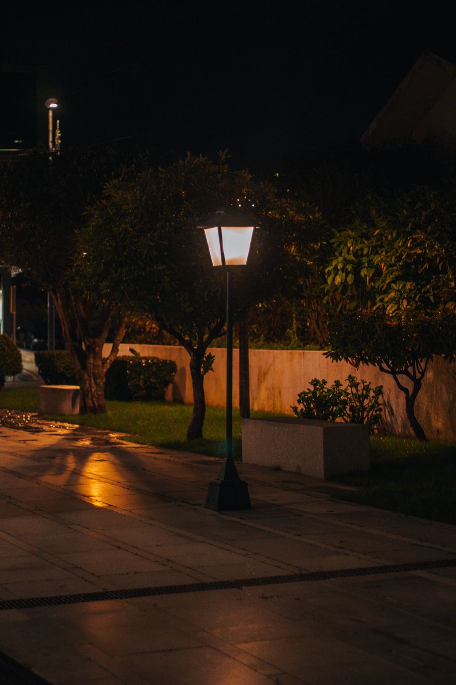Landscape lighting along a walkway at night
